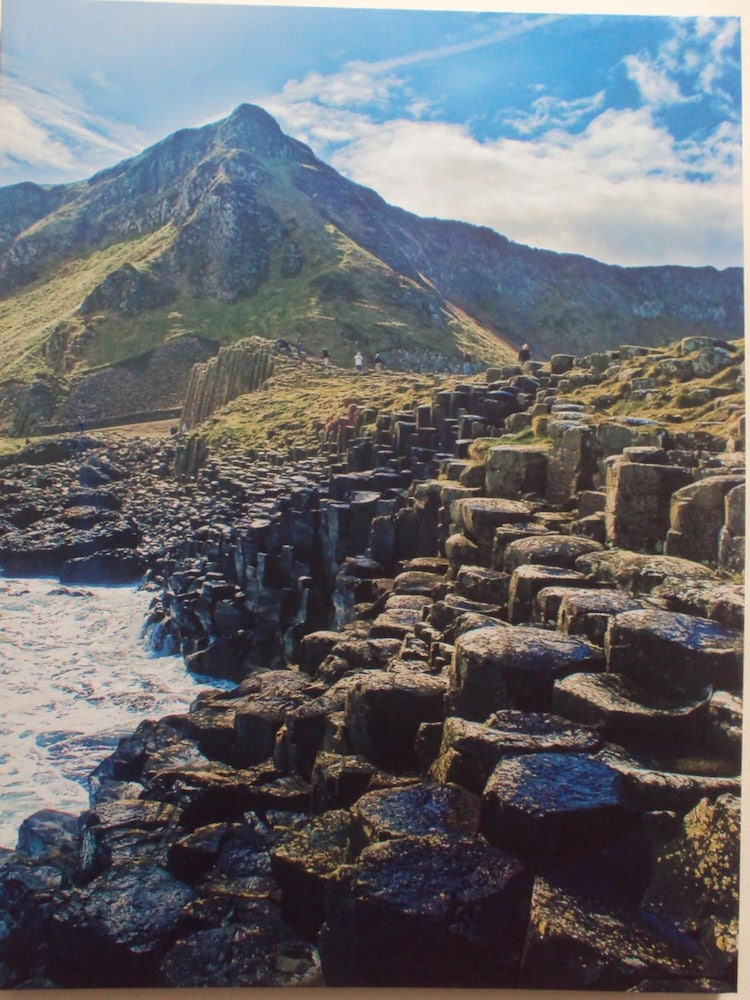 Causeway Lodge 46/50