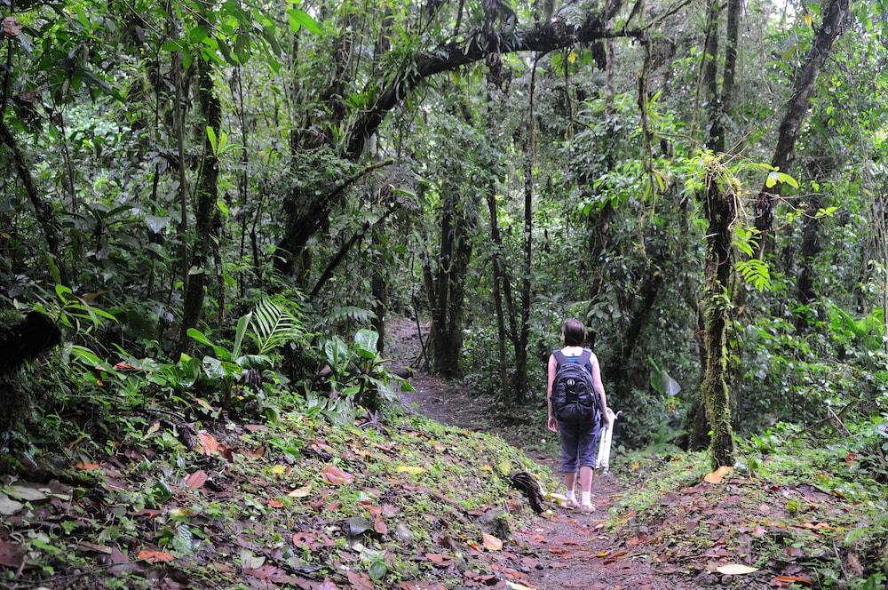 Arenal Observatory Lodge Spa 32/77