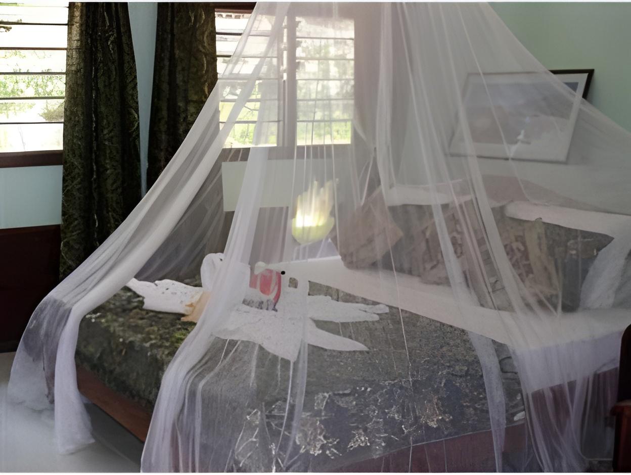 Basic, King Bed