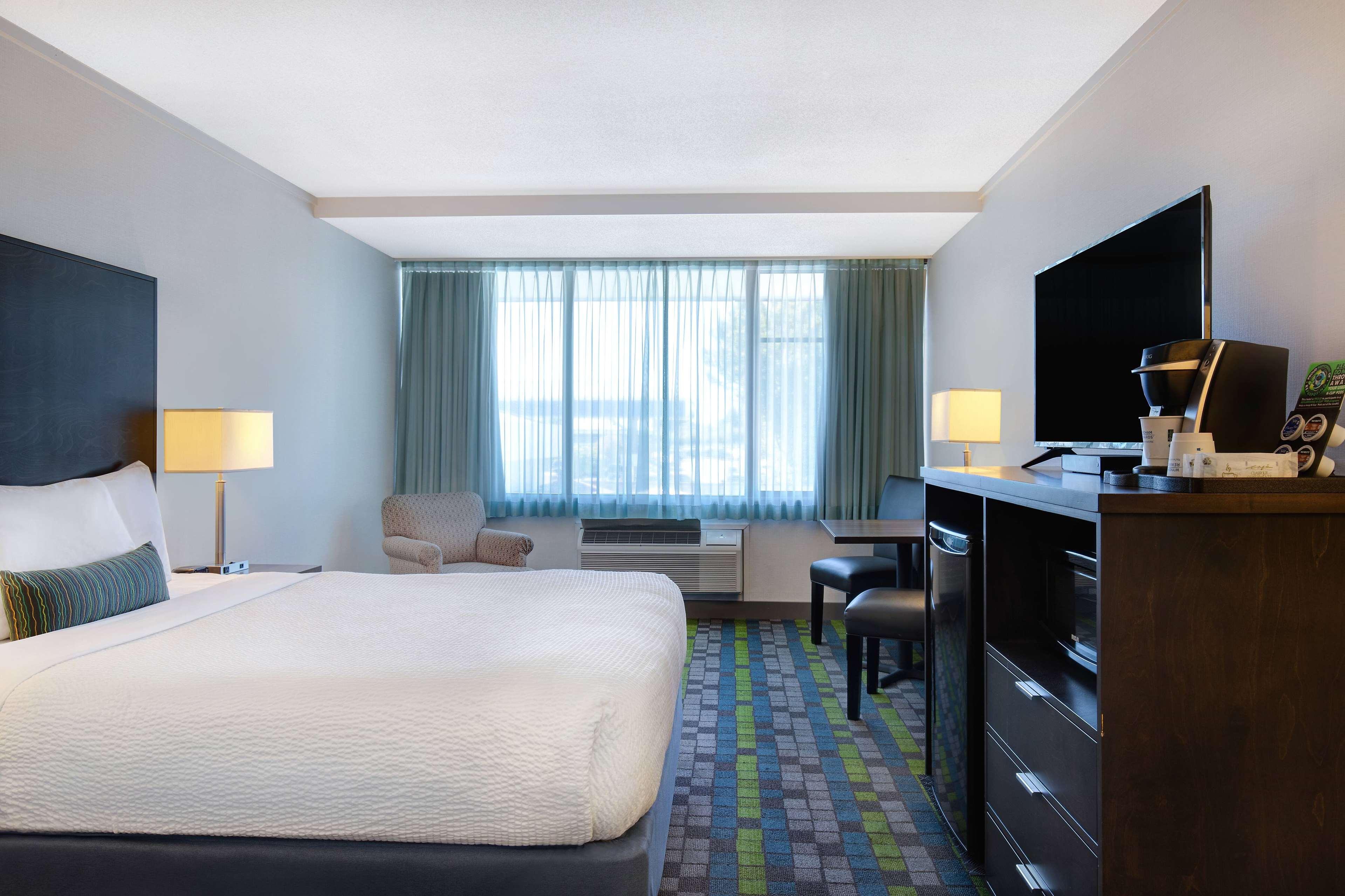 Room, Queen Bed