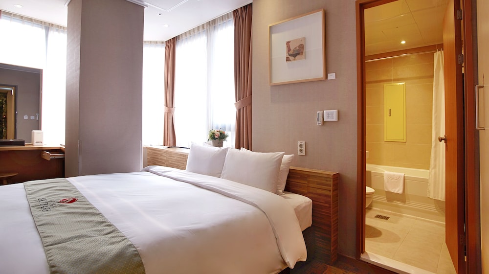 Hotel Skypark Myeongdong Ii Seoul 26/68