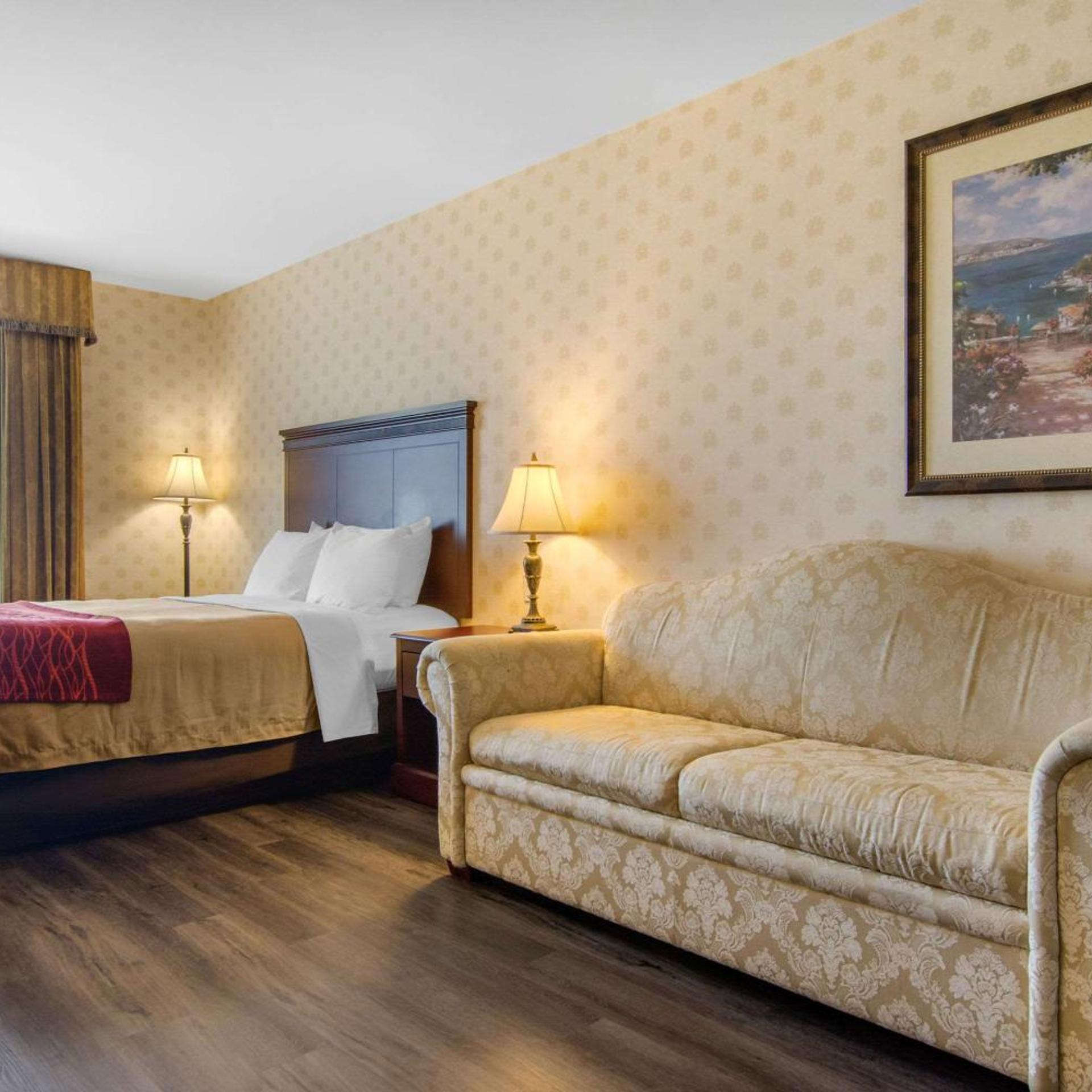Room, Queen Bed, Sofa, Accessible