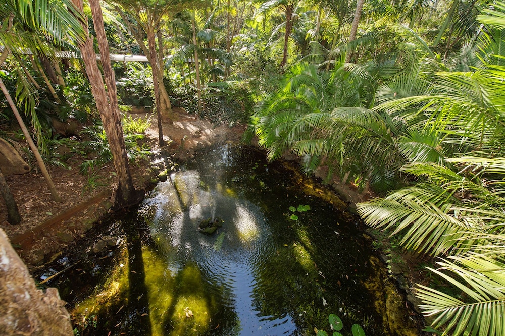 PETHERS RAINFOREST RETREAT 18/50