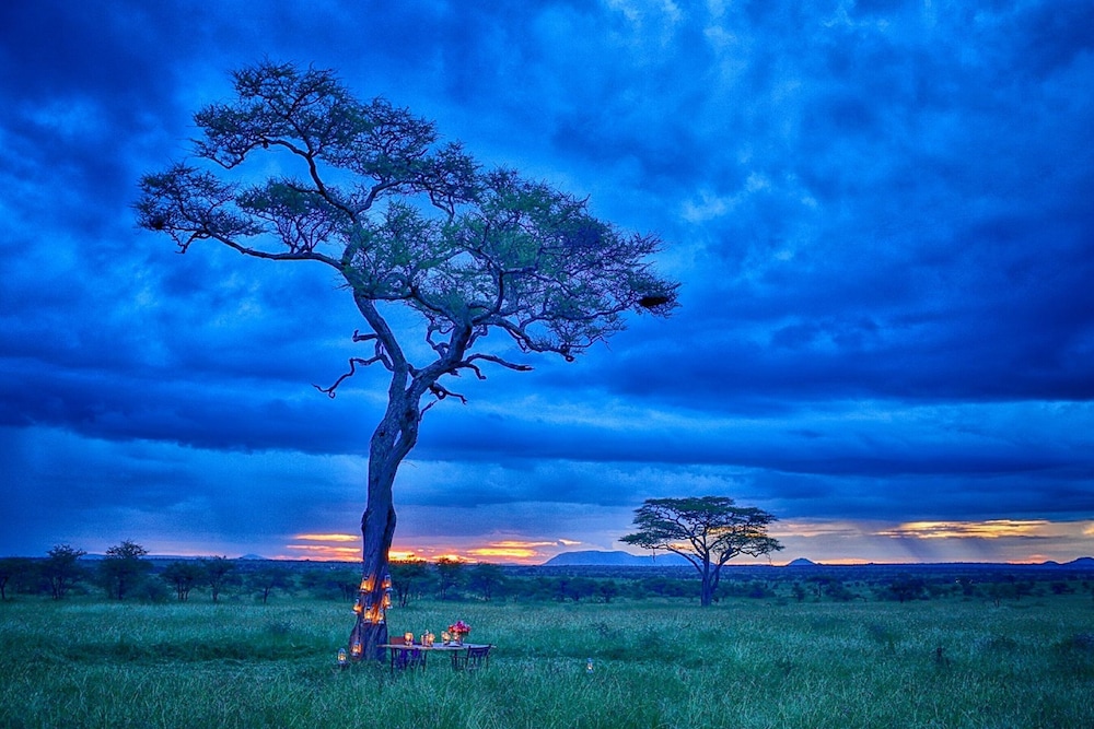 Pumzika Classic Safari Camp 45/54