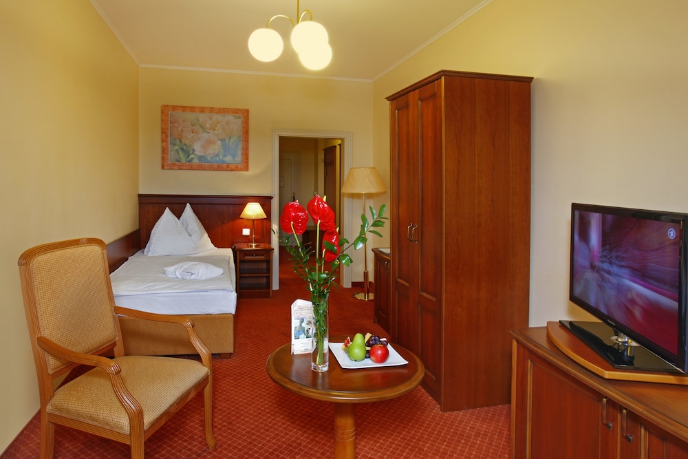 Centralni Lazne Ensana Health Spa Hotel 12/49