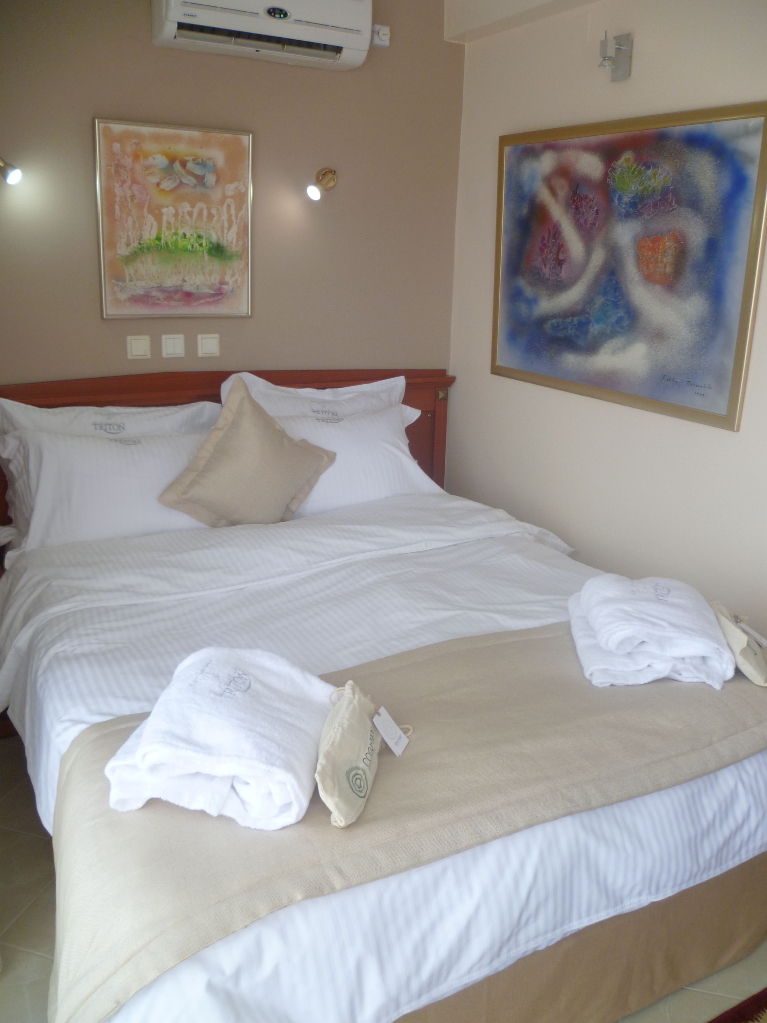 Executive, Double or Twin Bed