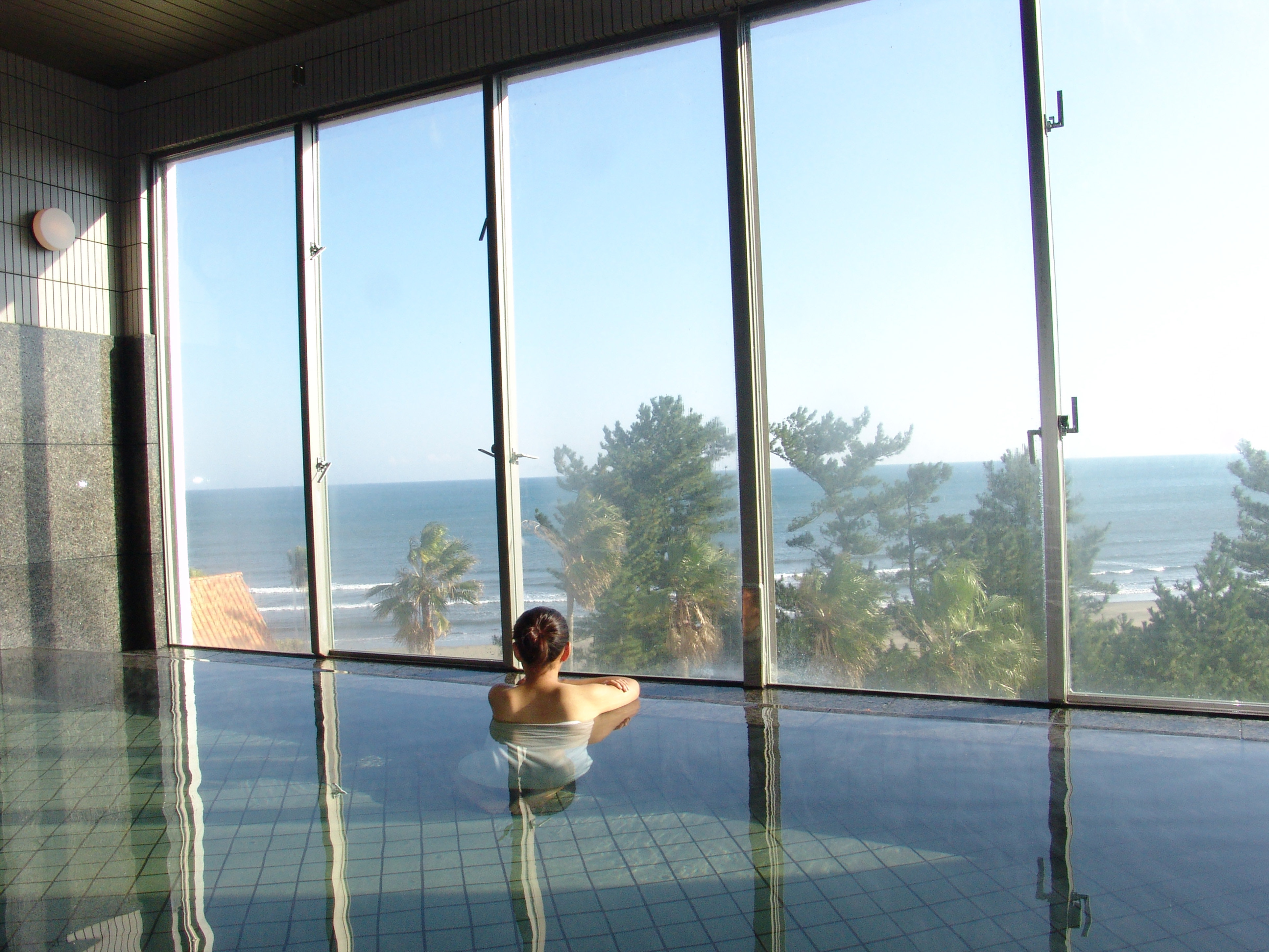 Holiday Inn Ana Miyazaki 23/50