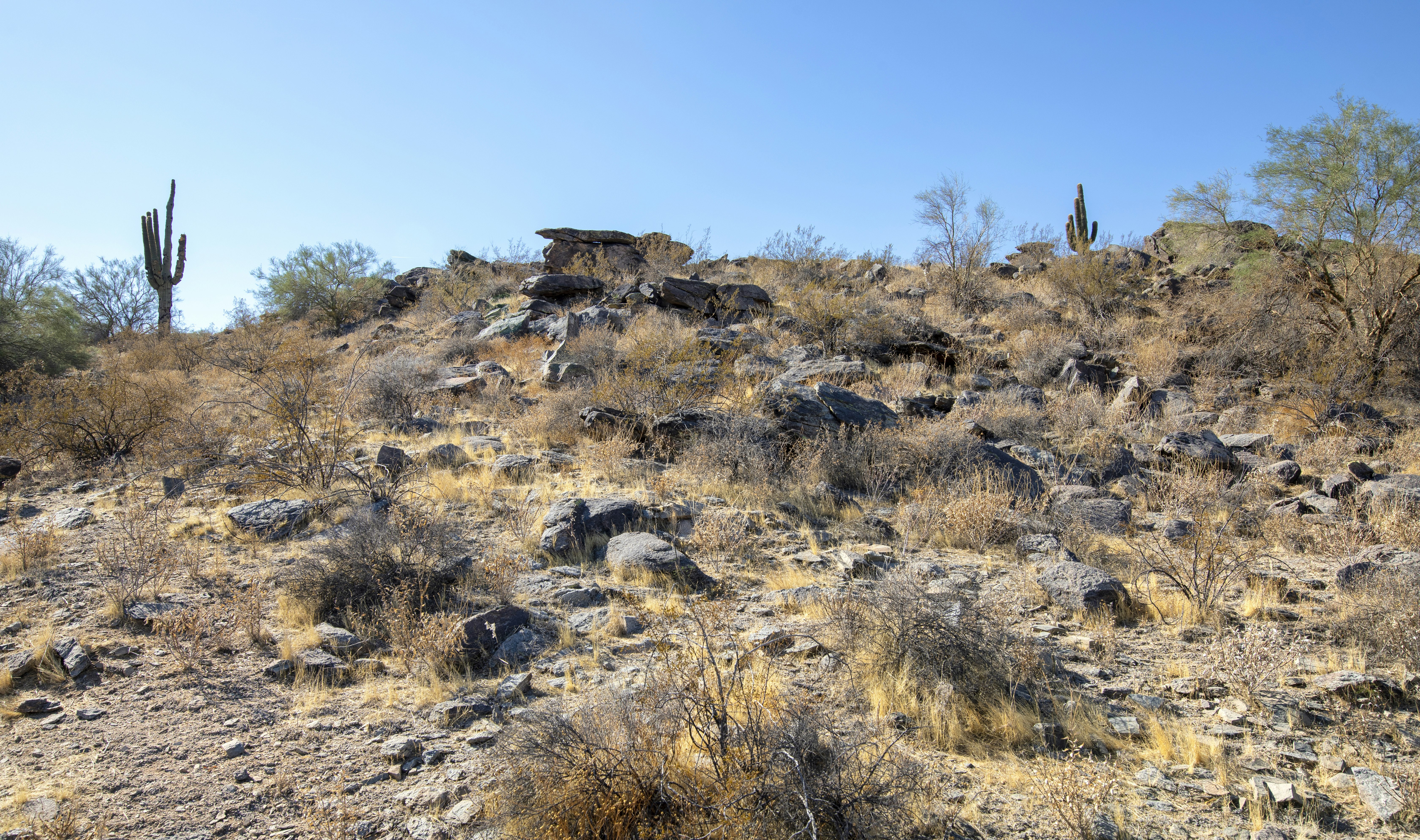Worldmark Phoenix South Mountain Preserve 29/50