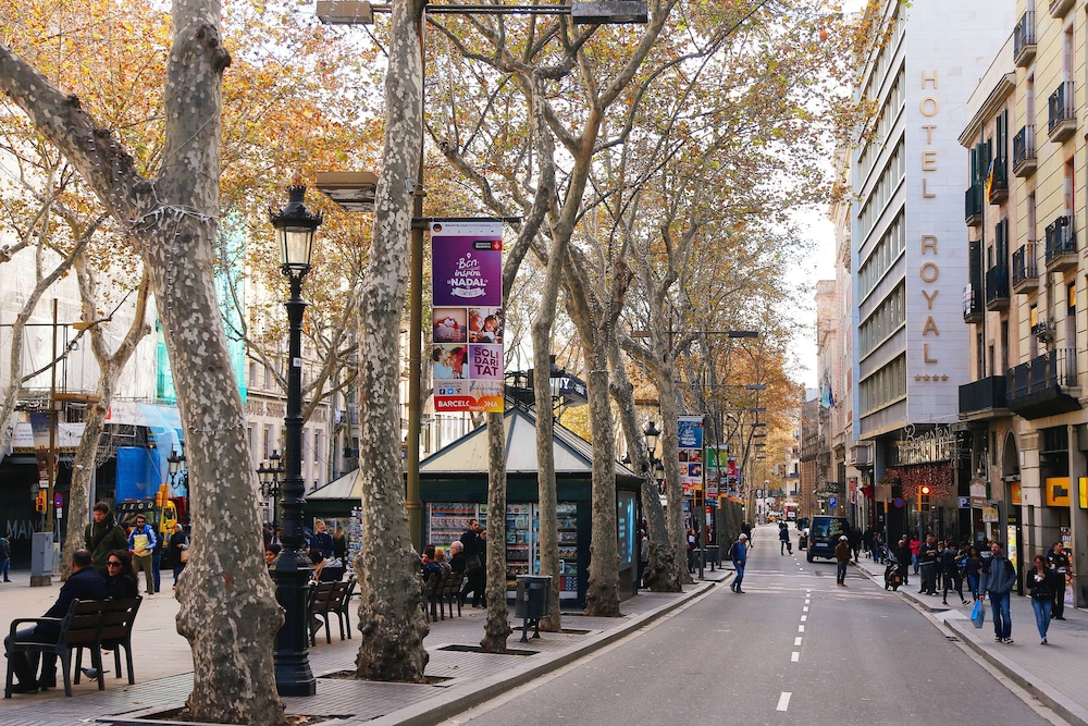 Royal Ramblas 66/72