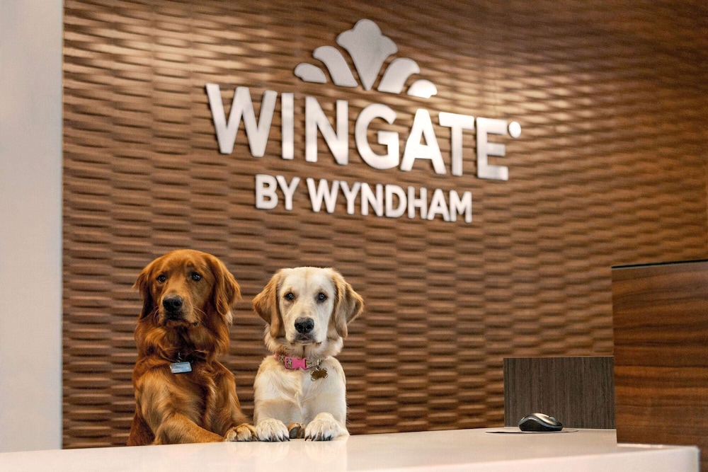 Wingate by Wyndham Lethbridge 5/50