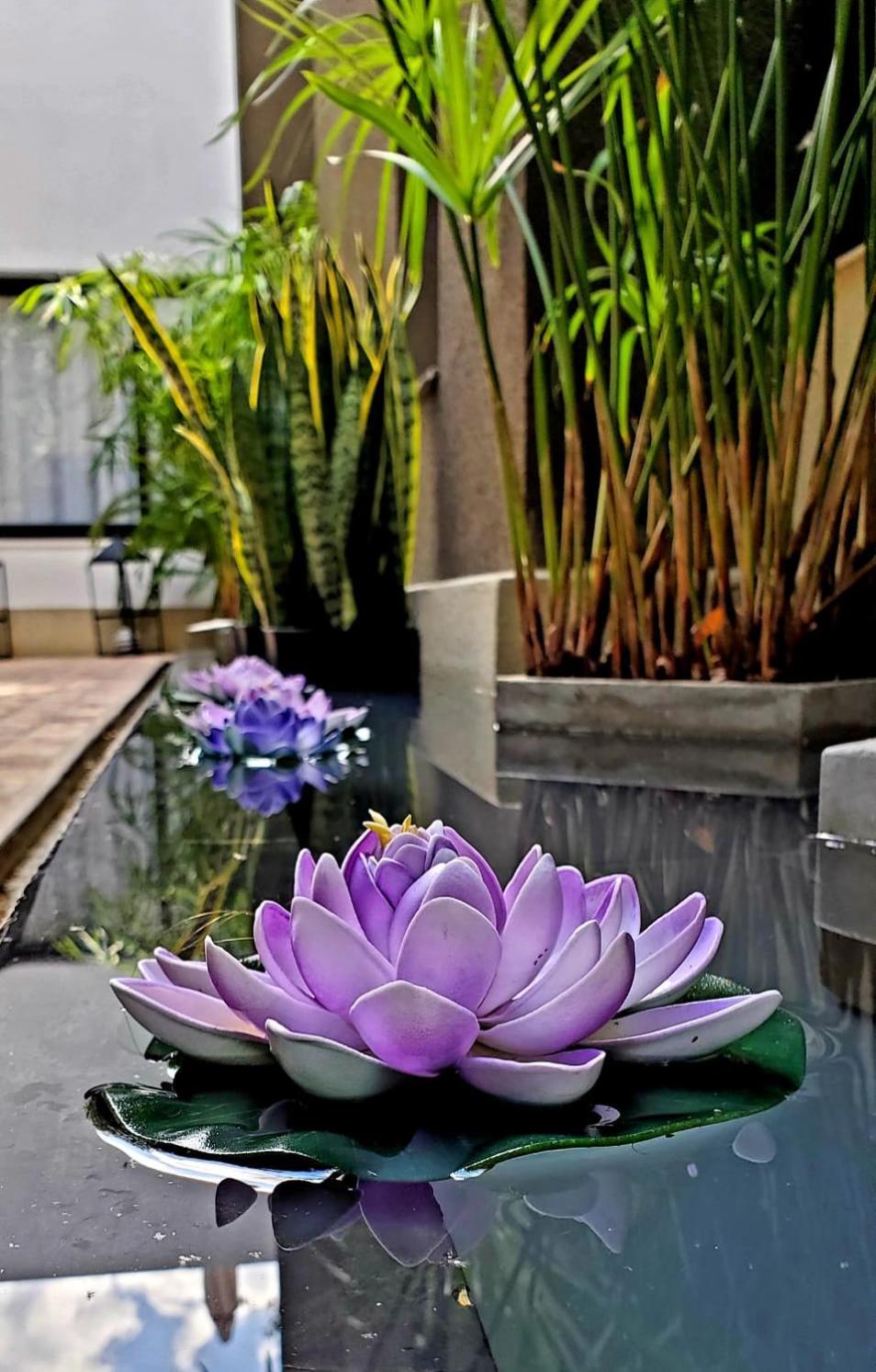 MG Design Hotel Boutique 34/38