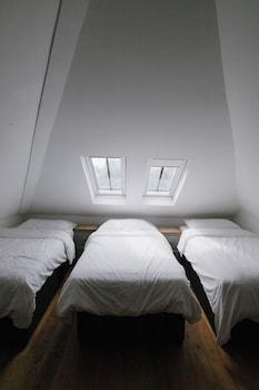 Mixed Dorm, 3 Beds