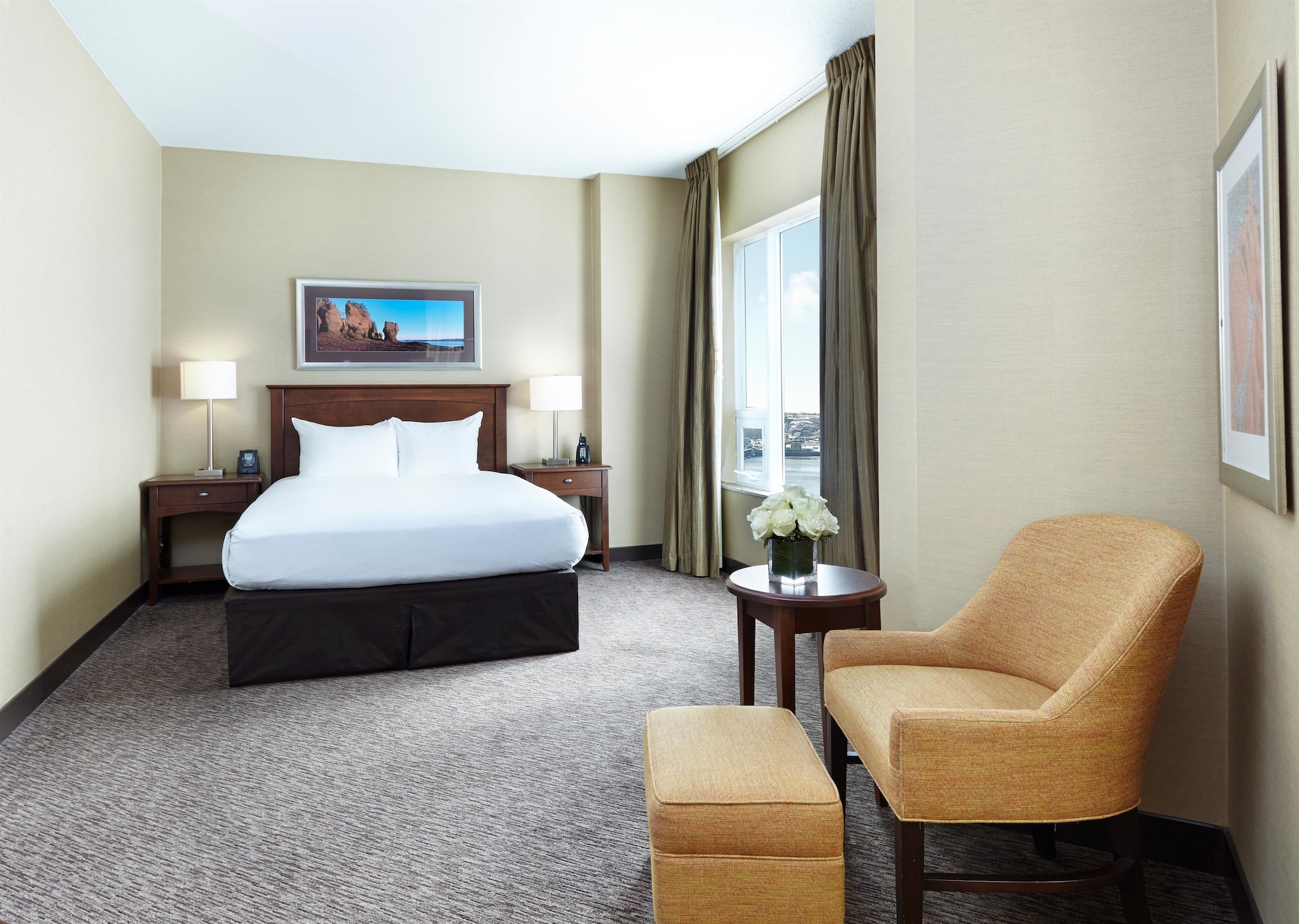Room, Queen Bed