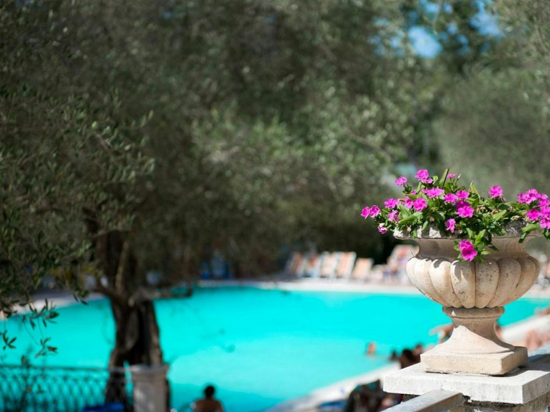 Hotel Terme Forlenza 13/17