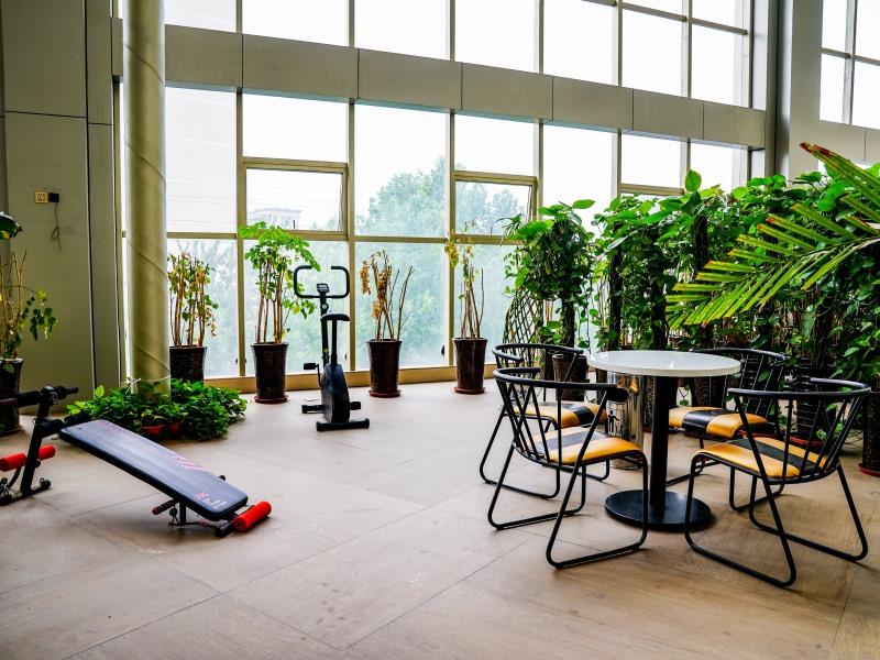 GreenTree Inn Xingtai Ren County Renmin Street 22/45