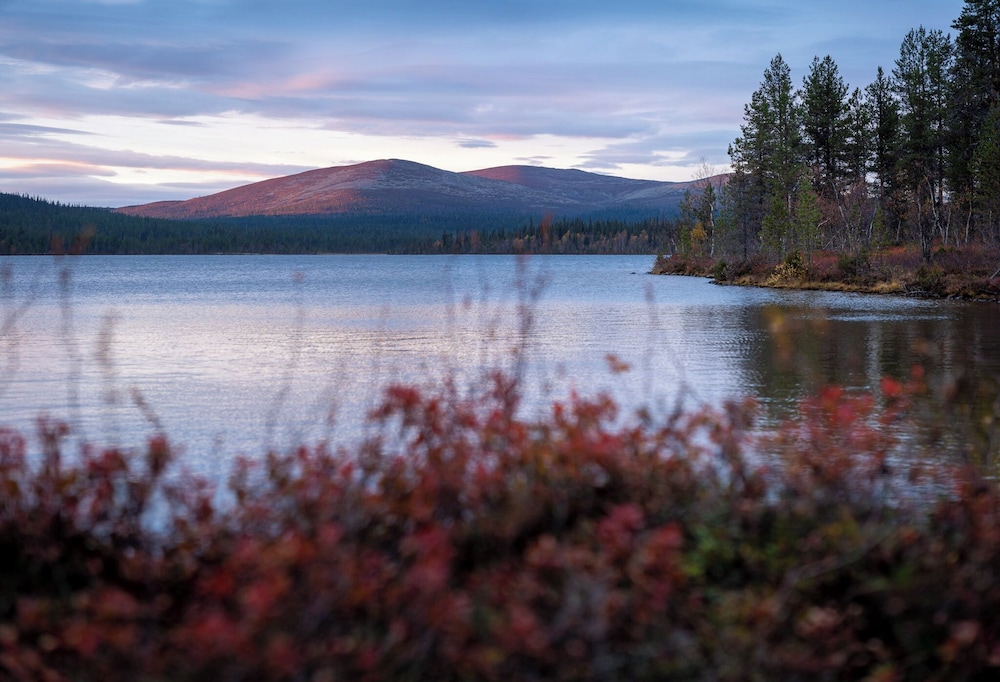 Fell Centre Kiilopaa Hotel Niilanpaa 42/50