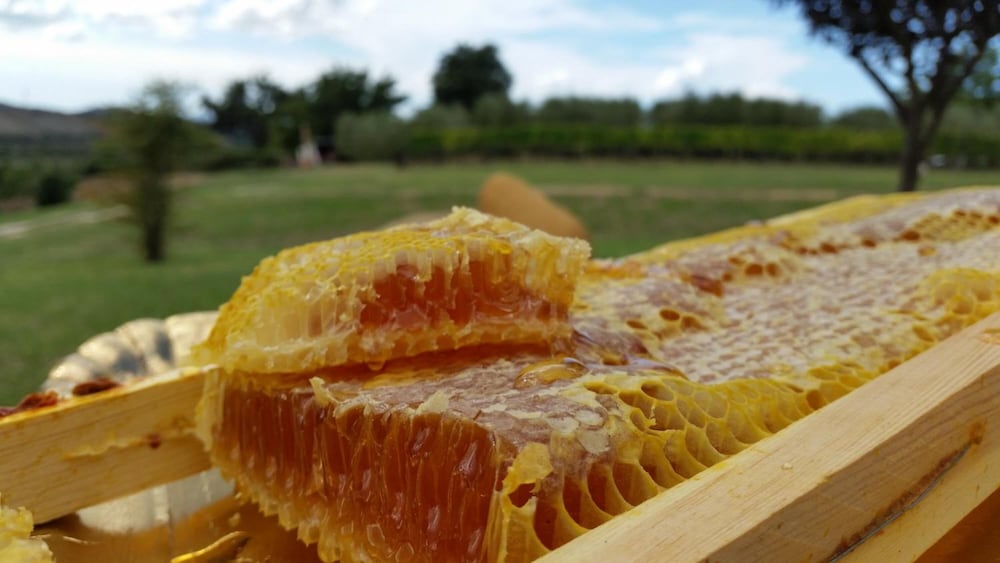 Agriturismo I Sicomori 12/48