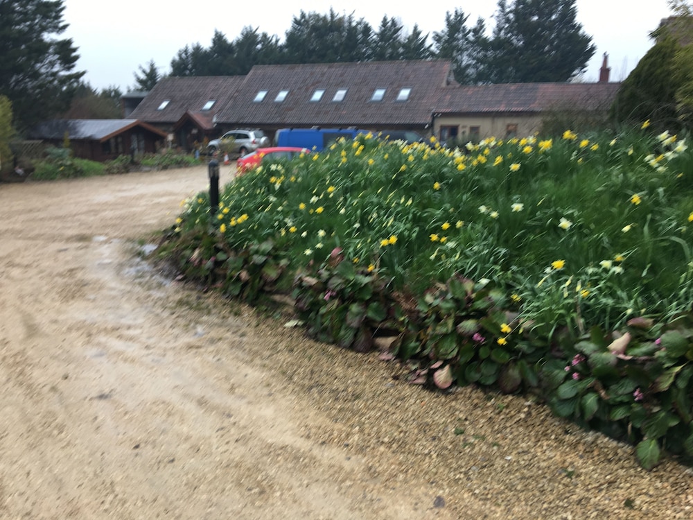 Bridge Farm Guesthouse 37/50