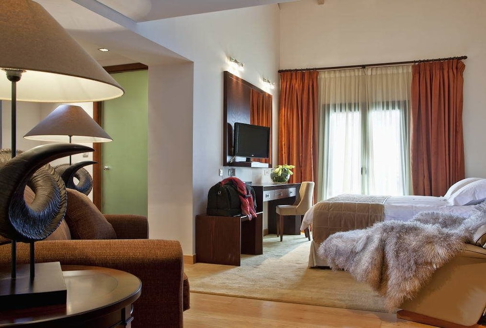 Kalavrita Canyon Hotel & Spa 22/28