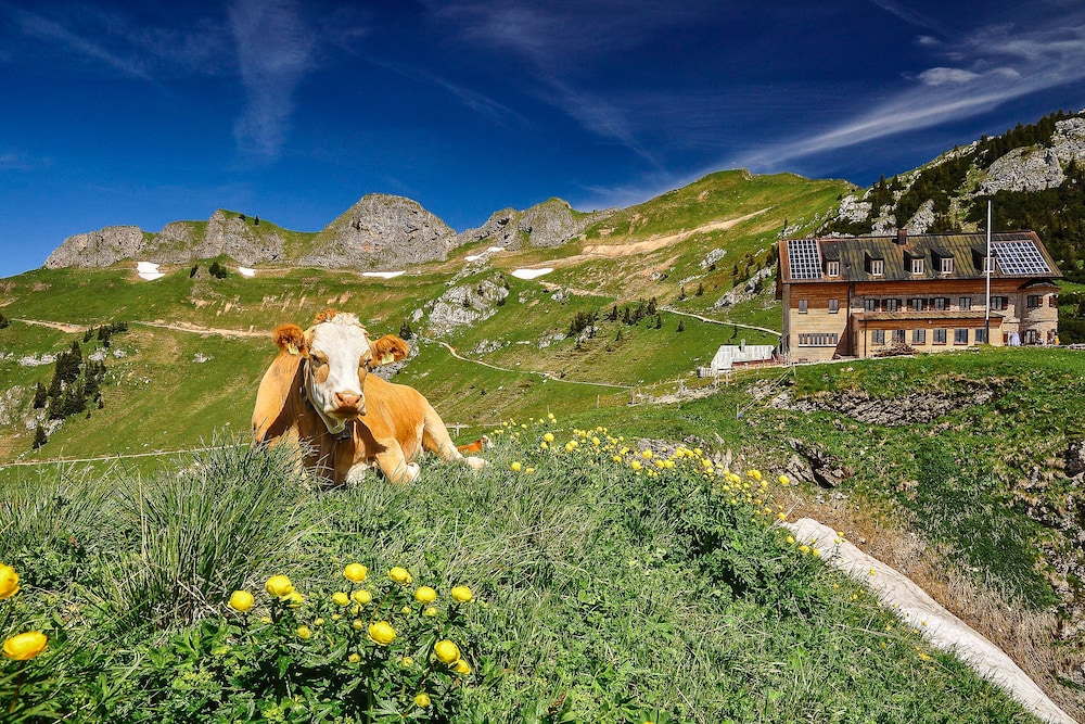 Arabella Alpenhotel am Spitzingsee 3/43