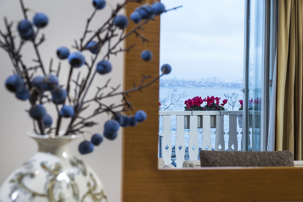 Radisson Hotel Istanbul Sultanahmet 27/50
