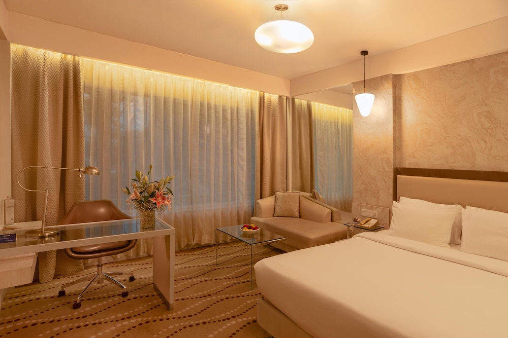 Radisson Blu Bengaluru Outer Ring Road (ex Park Plaza Bengaluru Hotel) 34/74