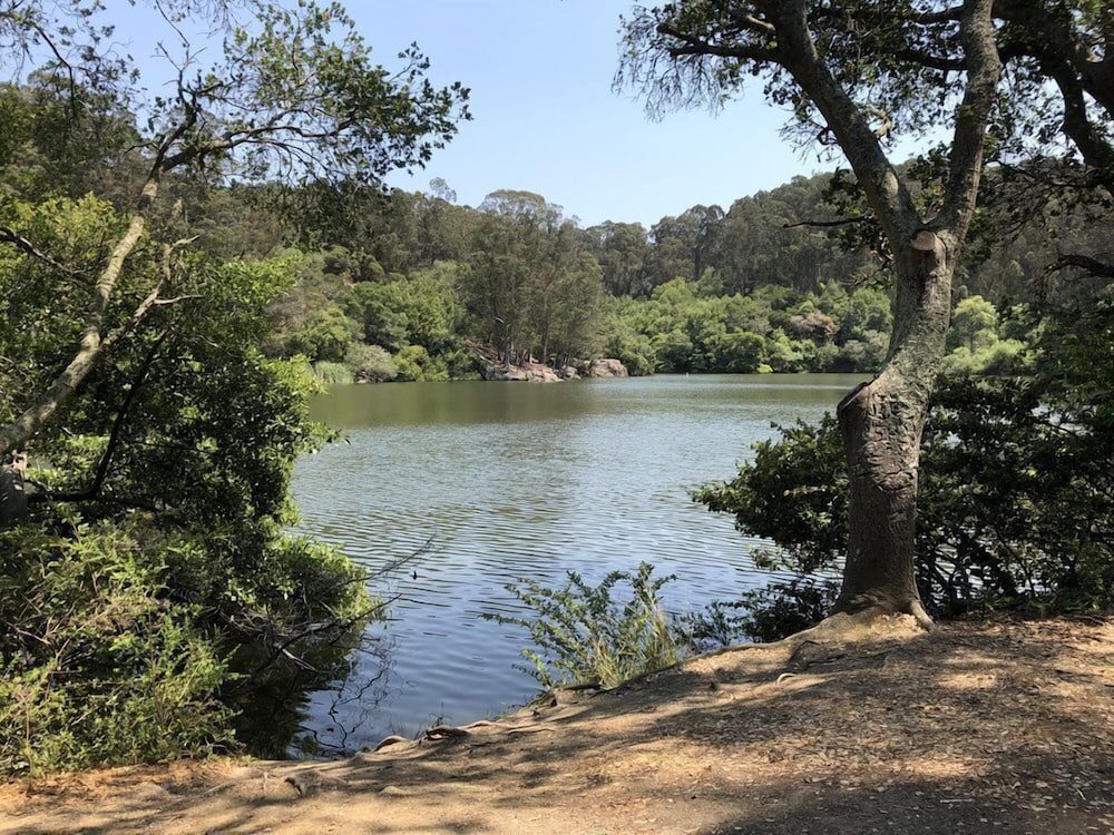Berkeley Inn 41/50