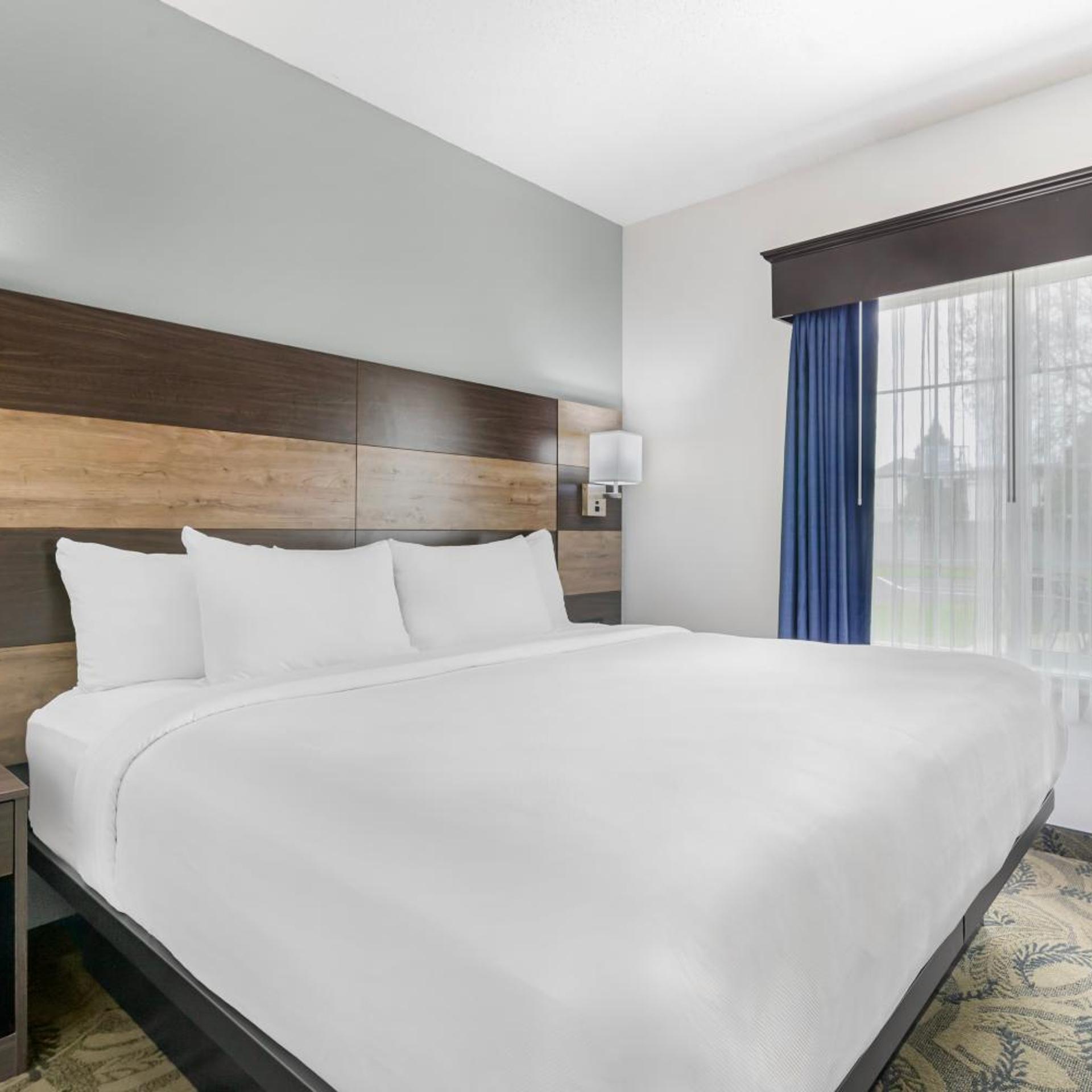 EFFICIENCY, SUITE, QUEEN BED