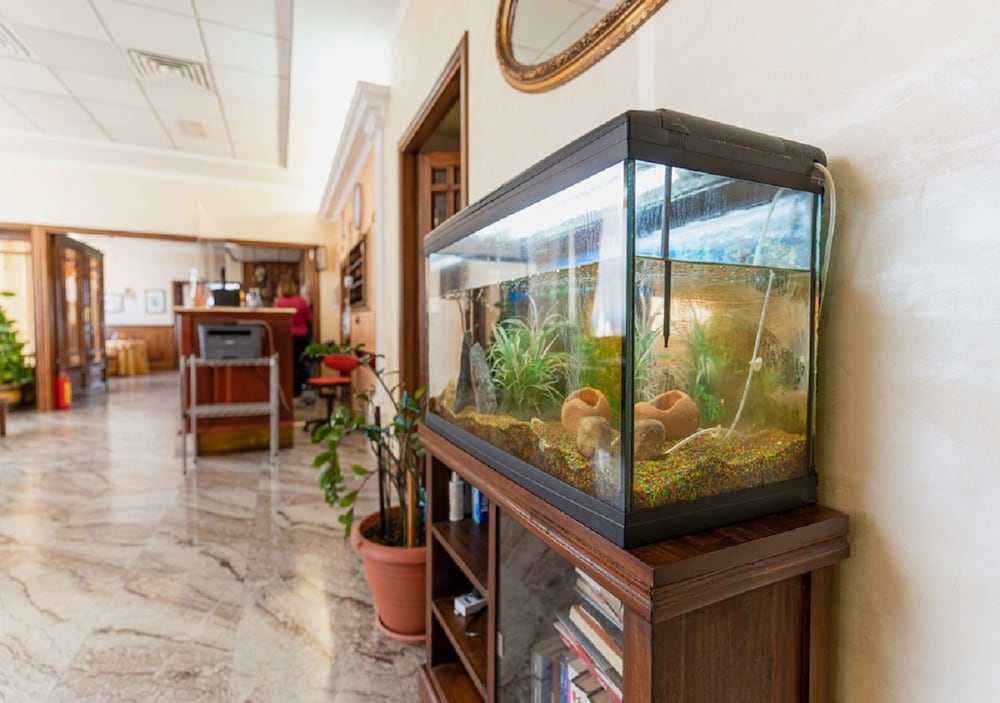 Hotel Villa delle Rose 2/39