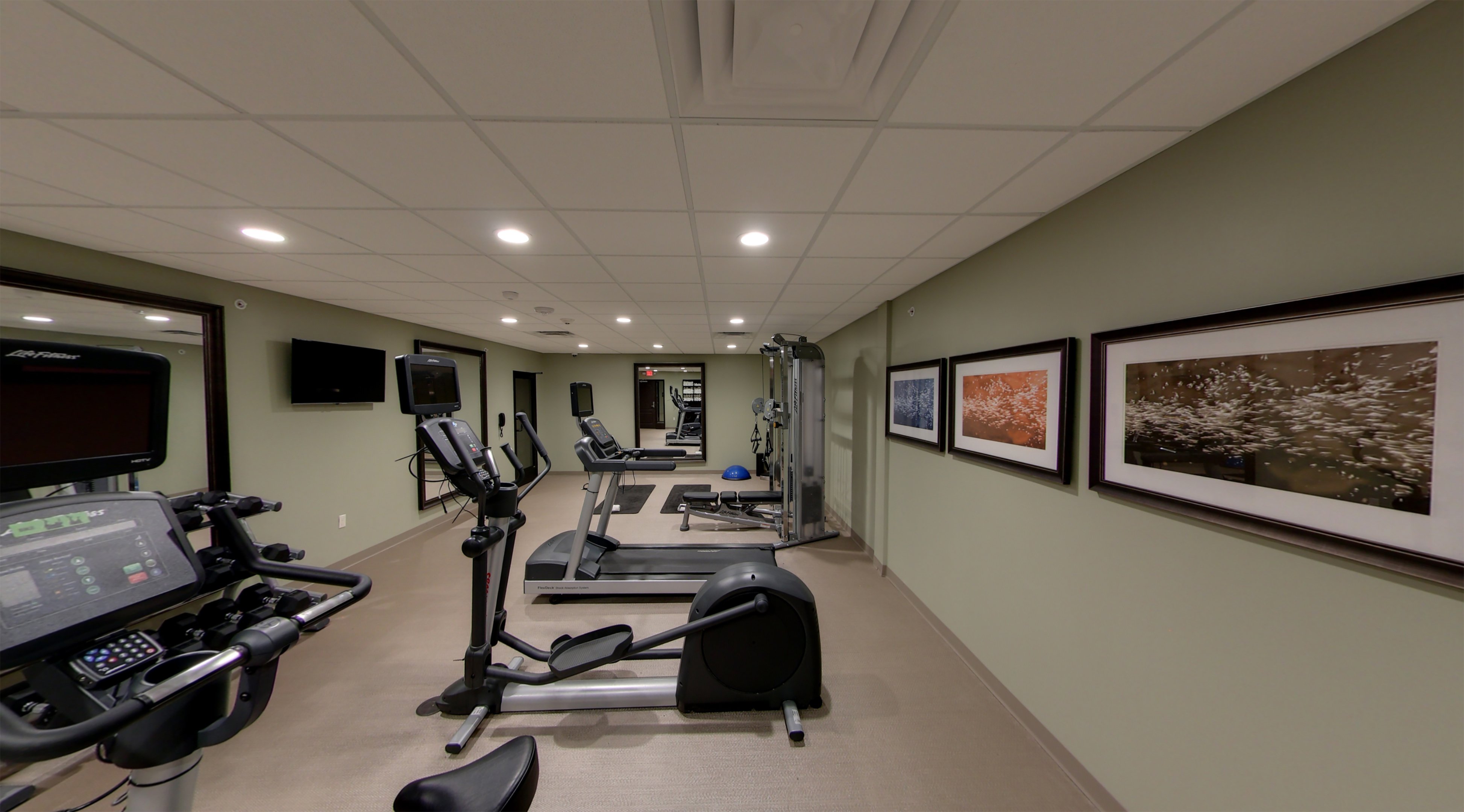 Staybridge Suites Ann Arbor Univ of Michigan 26/54