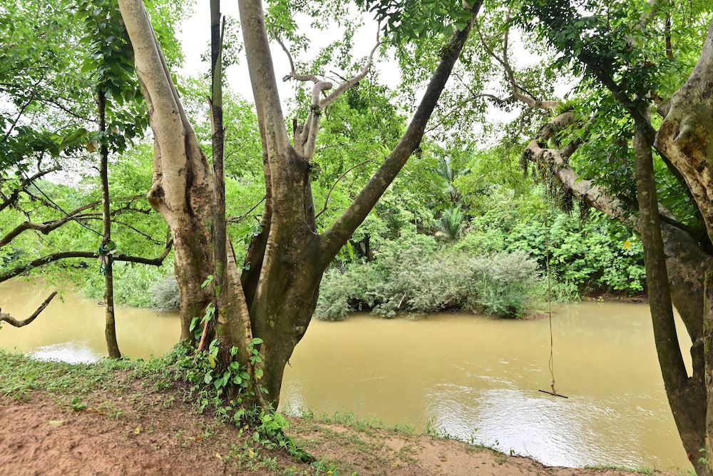 Khaosok River Home Resort 32/46