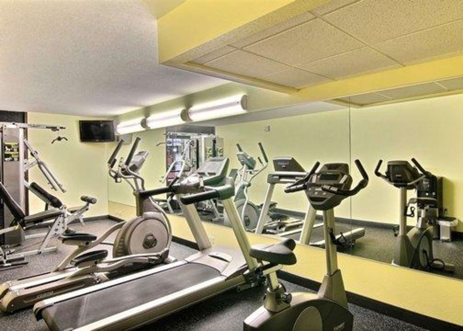 Quality Inn Thief River Falls, MN 16/23