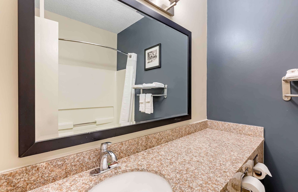 Comfort Suites Buffalo Airport 21/25