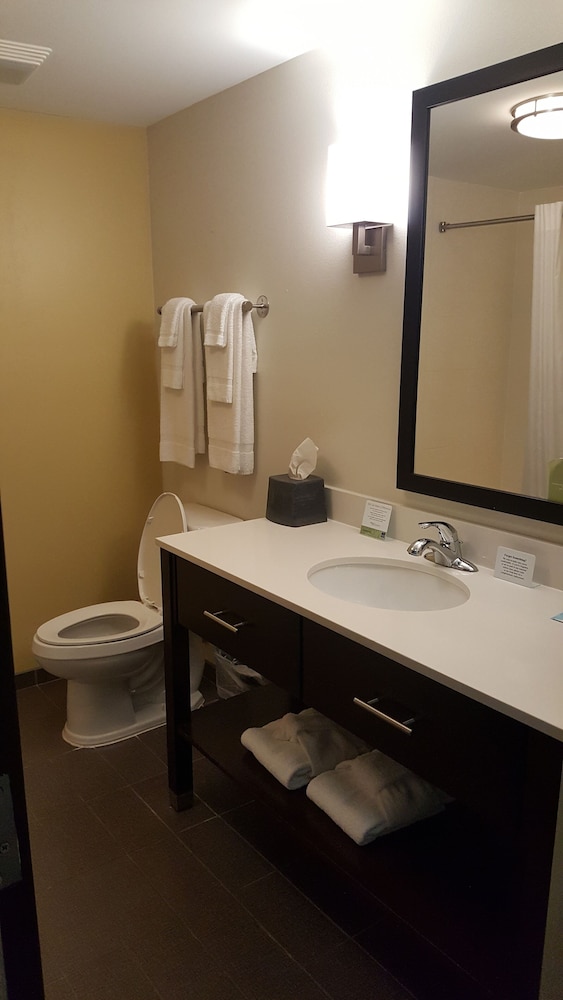 Standard, 2 Queen Beds, Sleep Inn & Suites Jasper 5/5