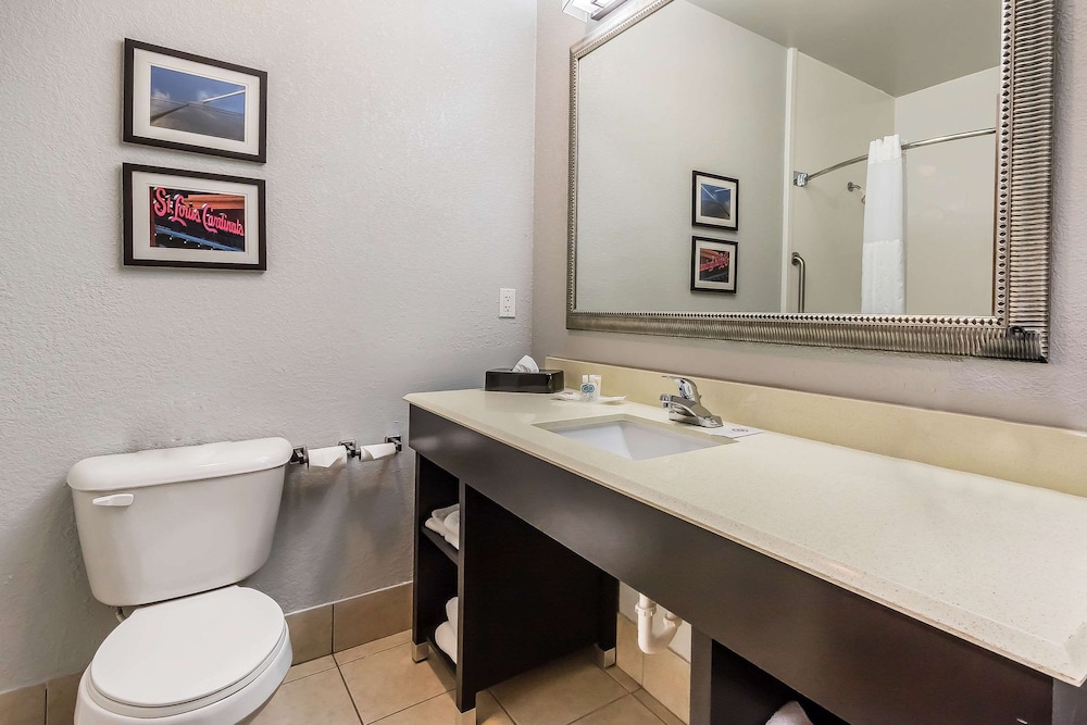 Comfort Suites St Charles-St Louis 15/38