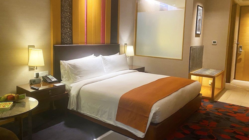 Holiday Inn New Delhi Mayur Vihar Noida 15/74