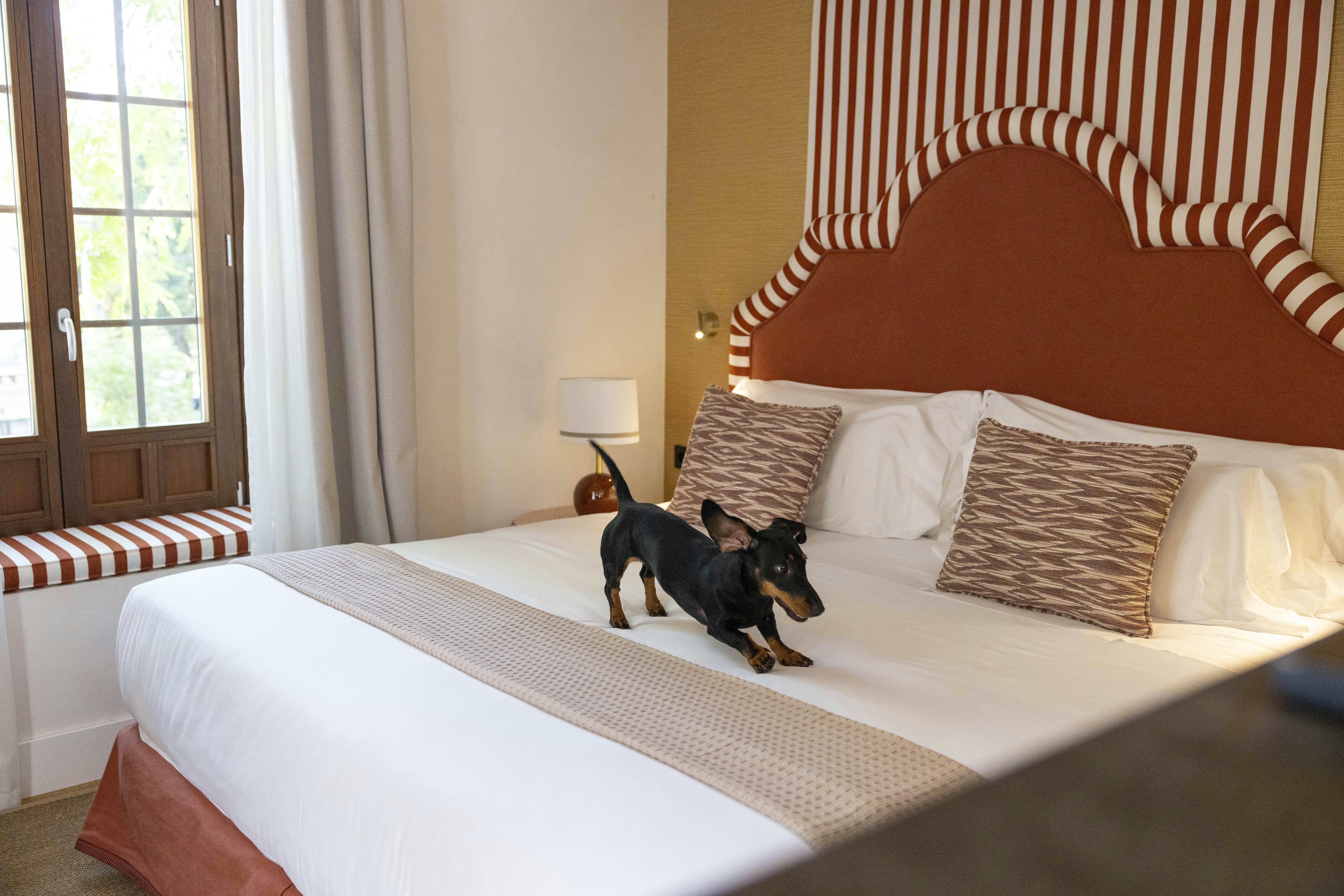 CAVALTA BOUTIQUE HOTEL GL 19/50