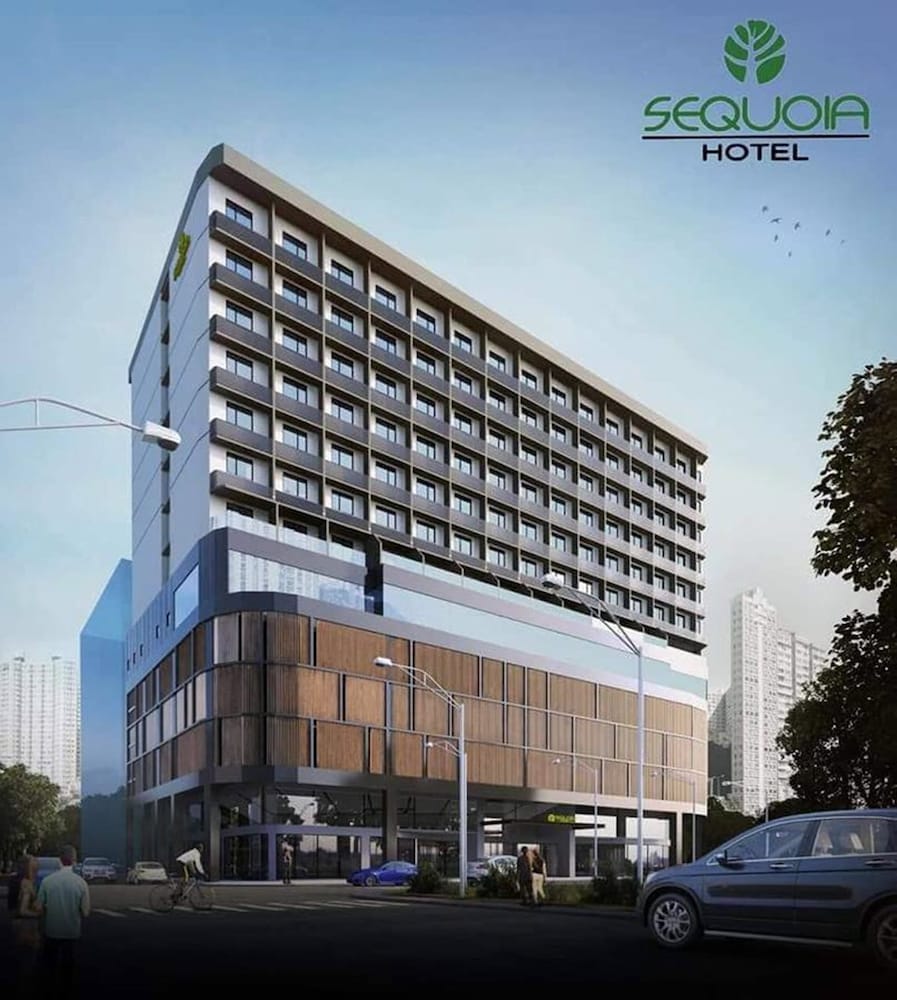 Sequoia酒店Manila Bay(Sequoia Hotel Manila Bay) 图片5