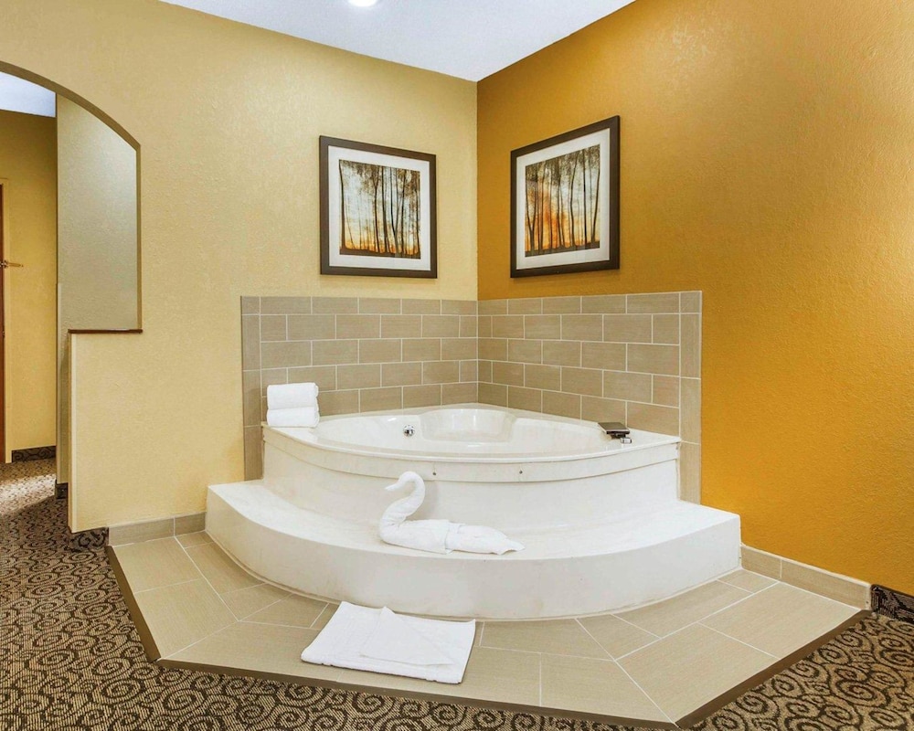 Comfort Suites Ramsey MN 30/31