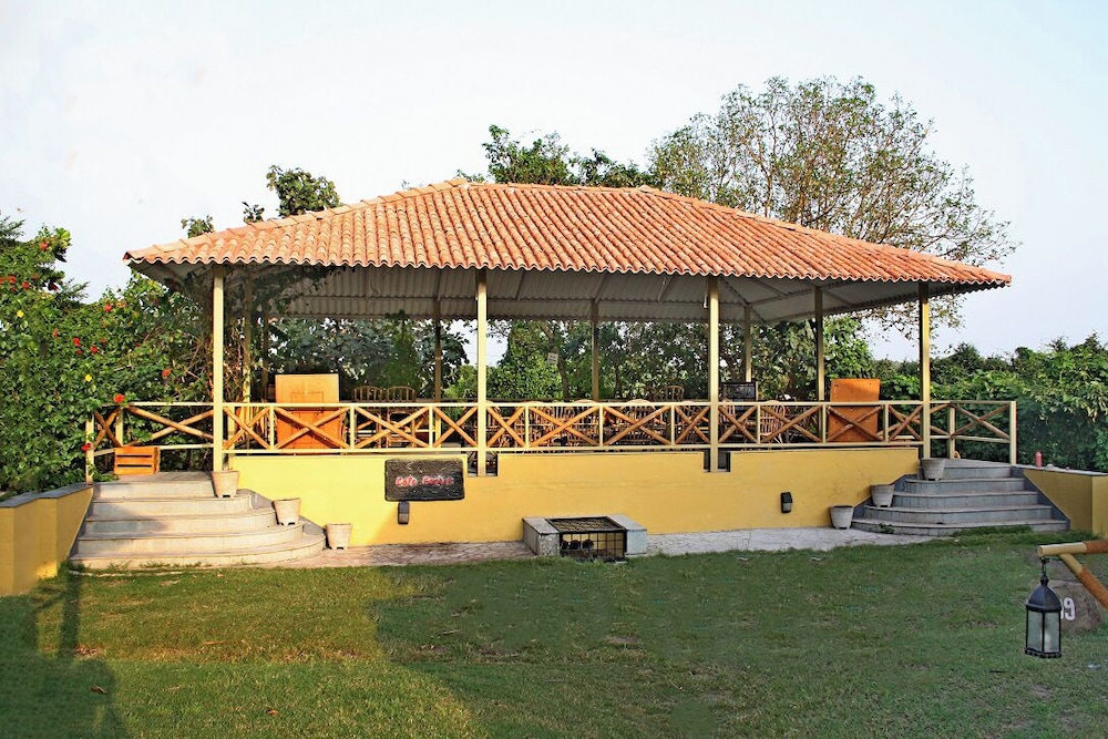 Asiatic Lion Lodge 4/50