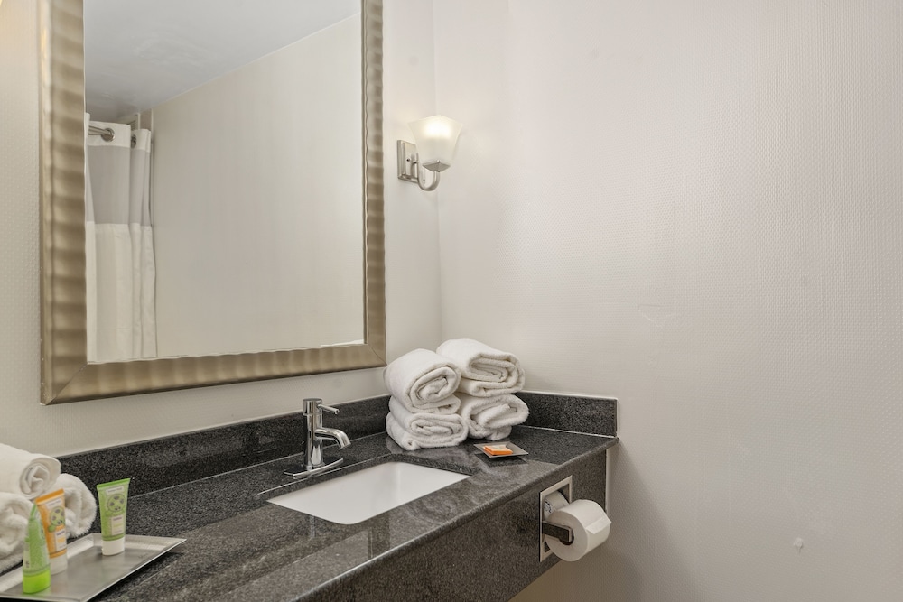 جناح جونيور بسرير كينج مع أريكة، Wyndham Garden Norfolk Downtown 9/10