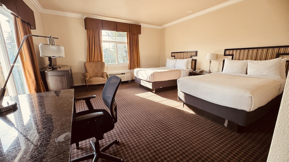 The Miramar Inn and Suites 19/50