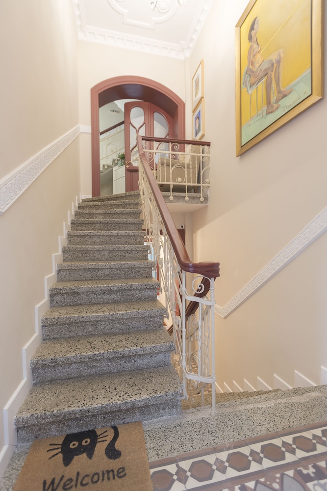 Gatto Perso Luxury Apartments 16/50