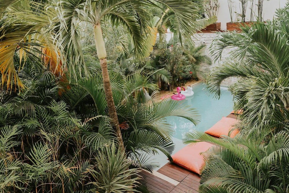 The Strabon Tulum 82/86