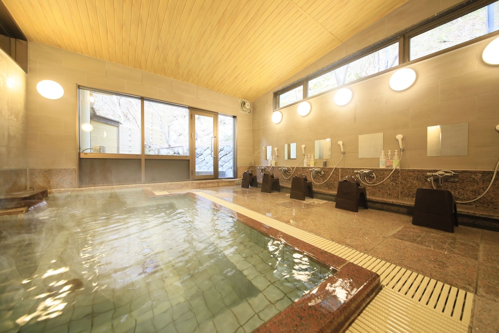 swimming pool spa