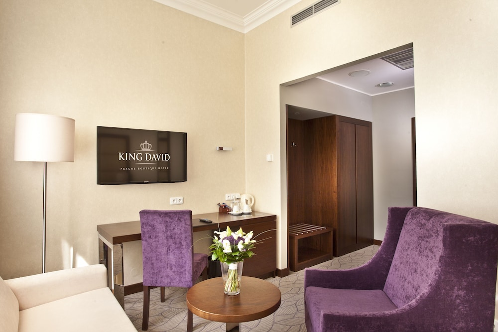 Kosher Hotel KING DAVID Prague 27/45