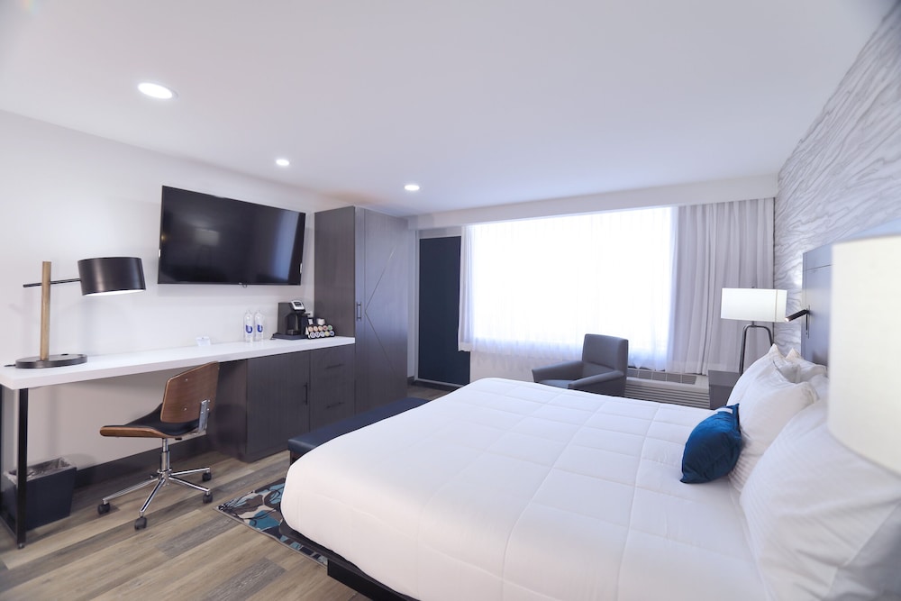 Room, King Bed, Gulf View