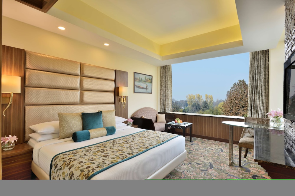 Radisson Srinagar 10/54