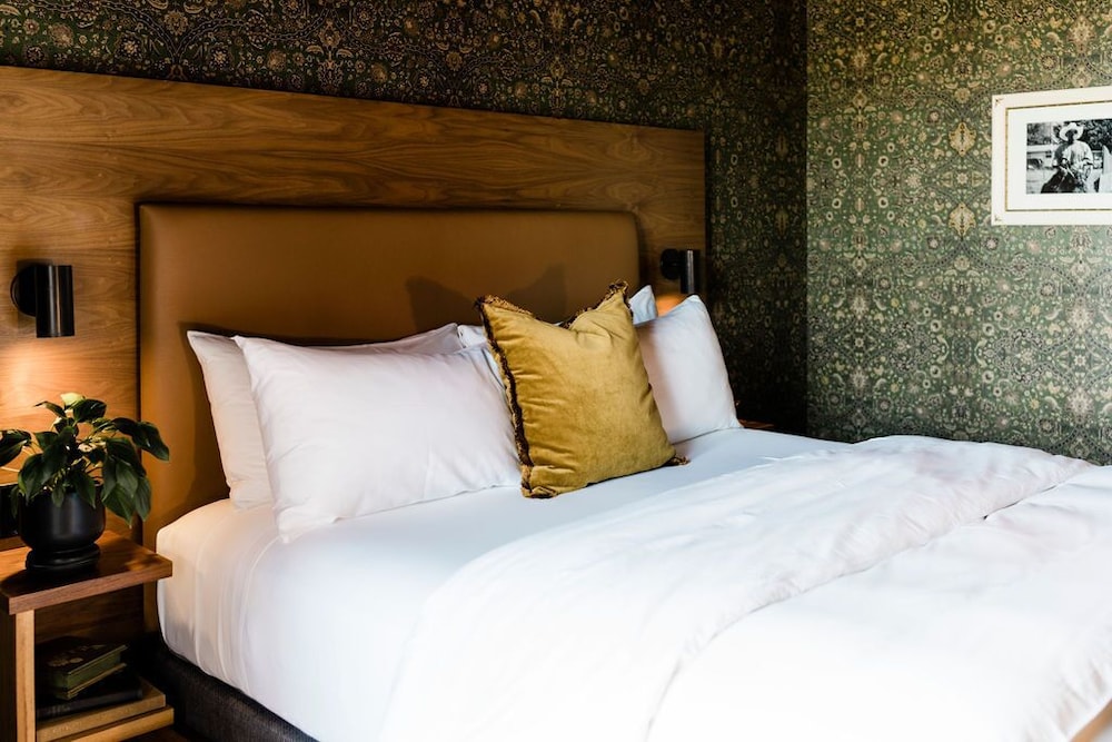 The Frances Modern Inn 23/65