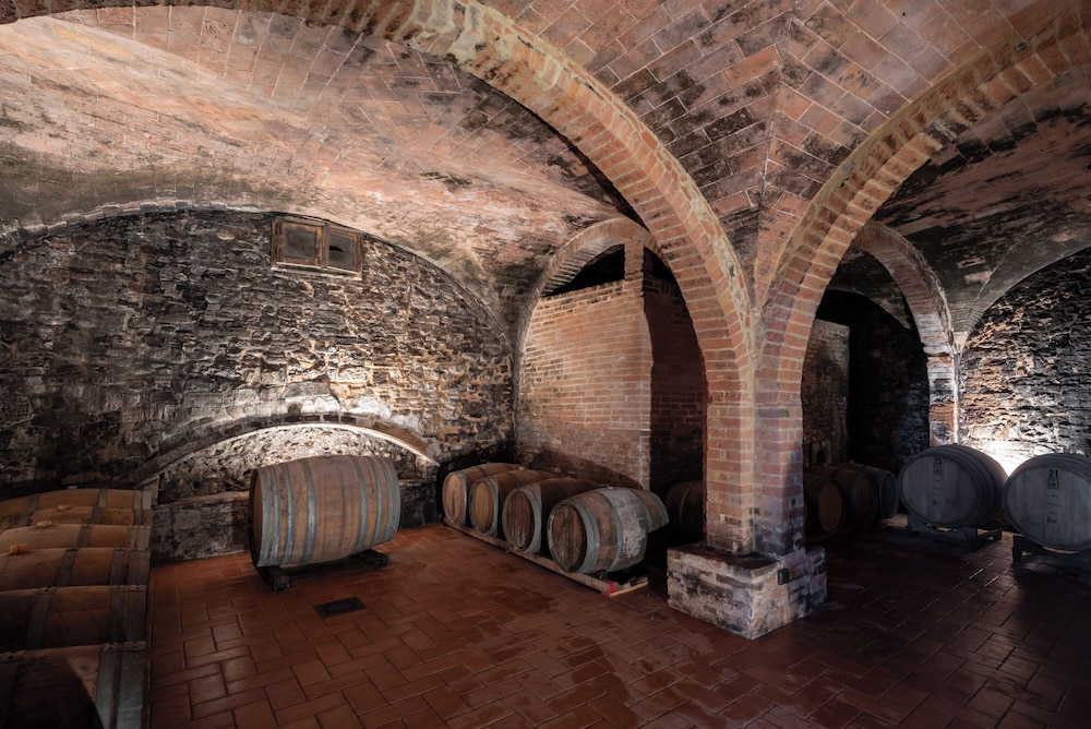 Fattoria il Bacio 21/50